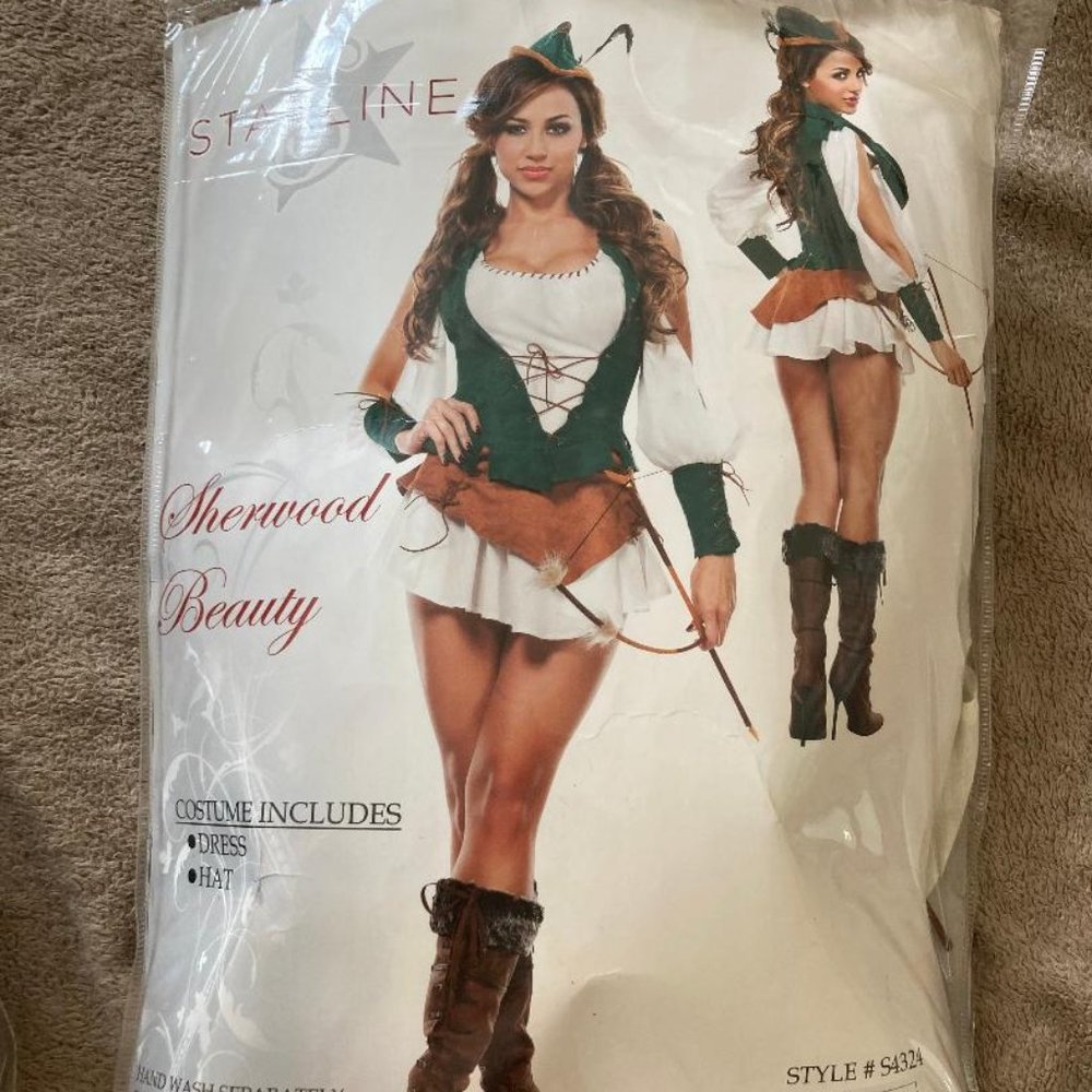 Sherwood Beauty costume (missing vest)